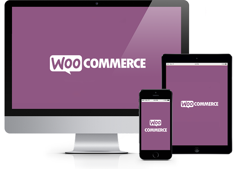 WooCommerce Ecommerence
