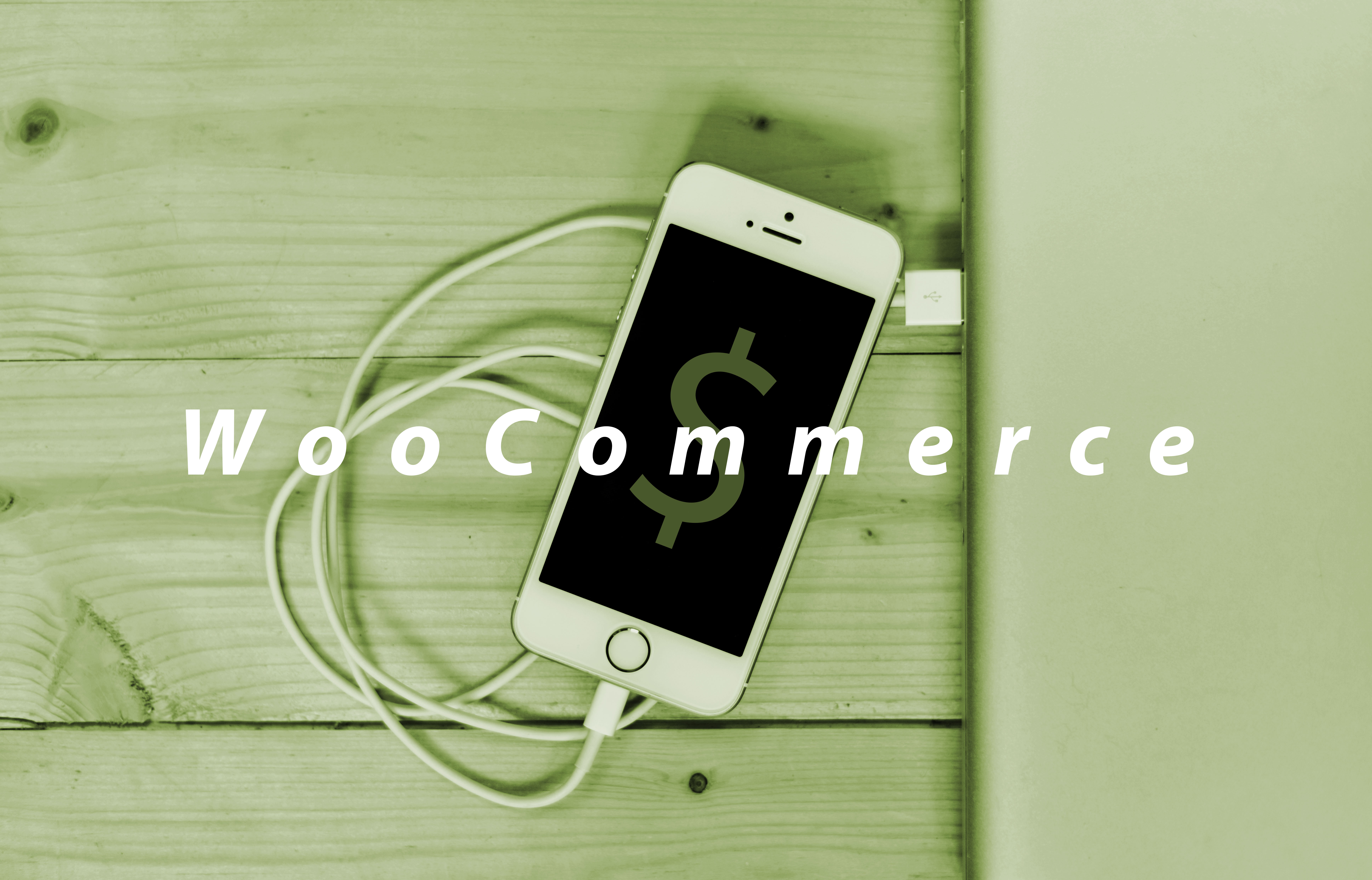 Choosing The Right Ecommerce Platform – Pt. 1 of 5 – WooCommerce