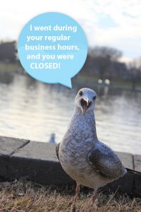 Seagull With A Speech Bubble Reading, I Went During Your Regular Business Hours, And you Were Closed!