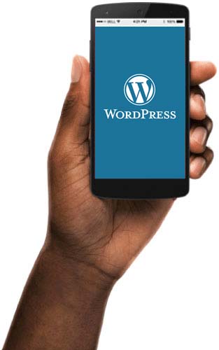 responsive WooCommerce site